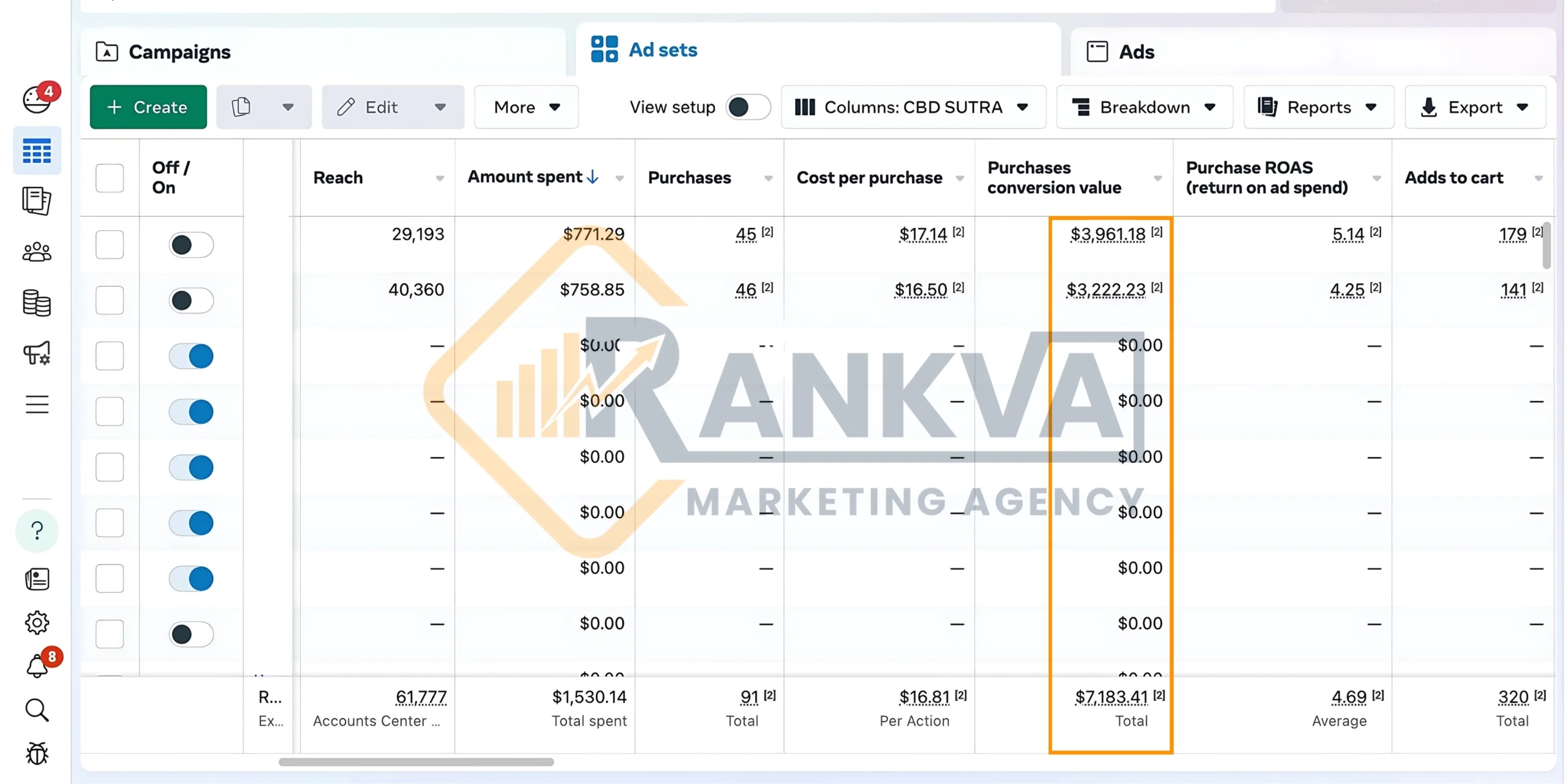 Facebook & Instagram Ads Portfolio - Social Media Marketing Portfolio