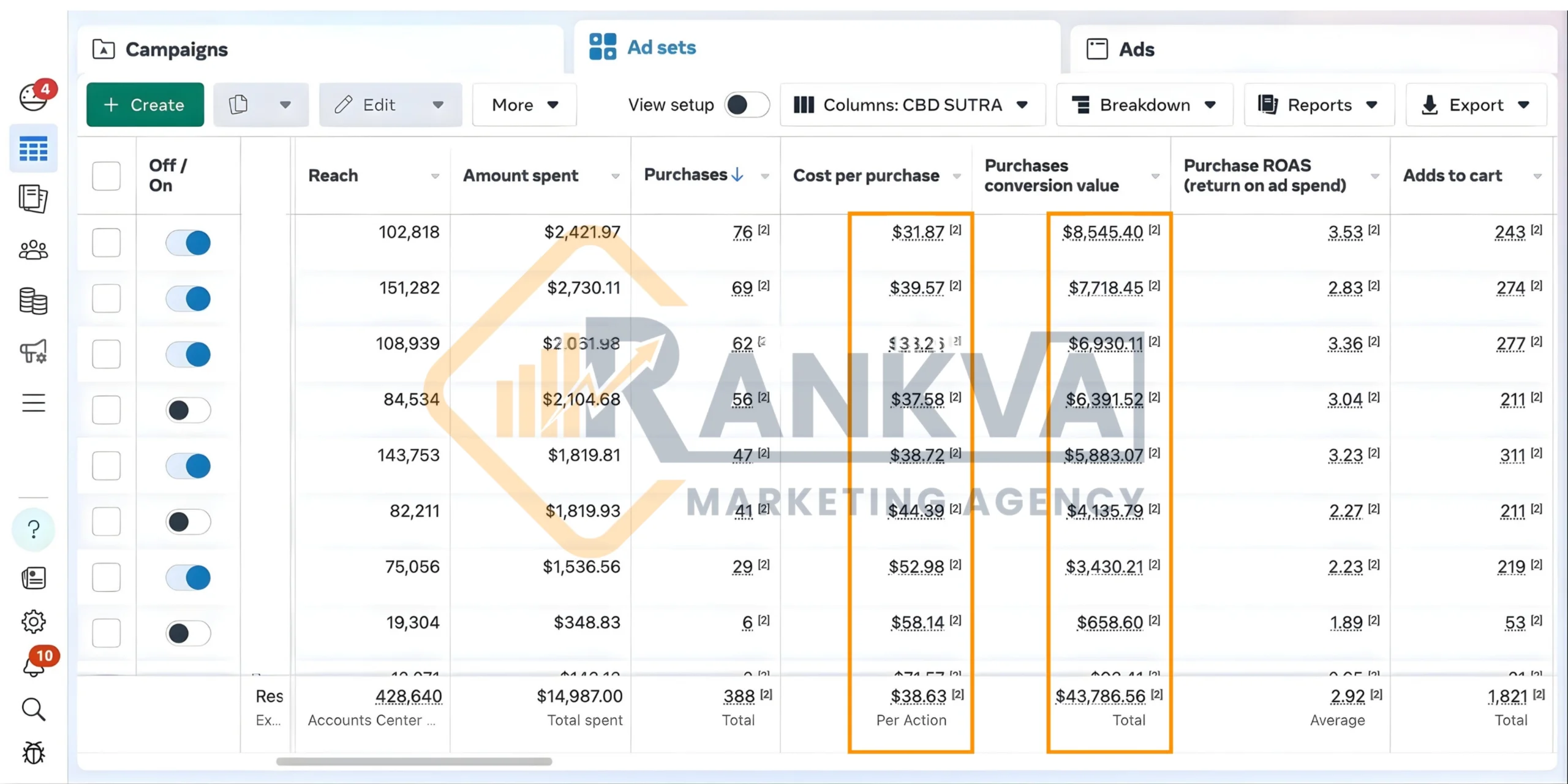 Facebook & Instagram Ads Portfolio - Social Media Marketing Portfolio