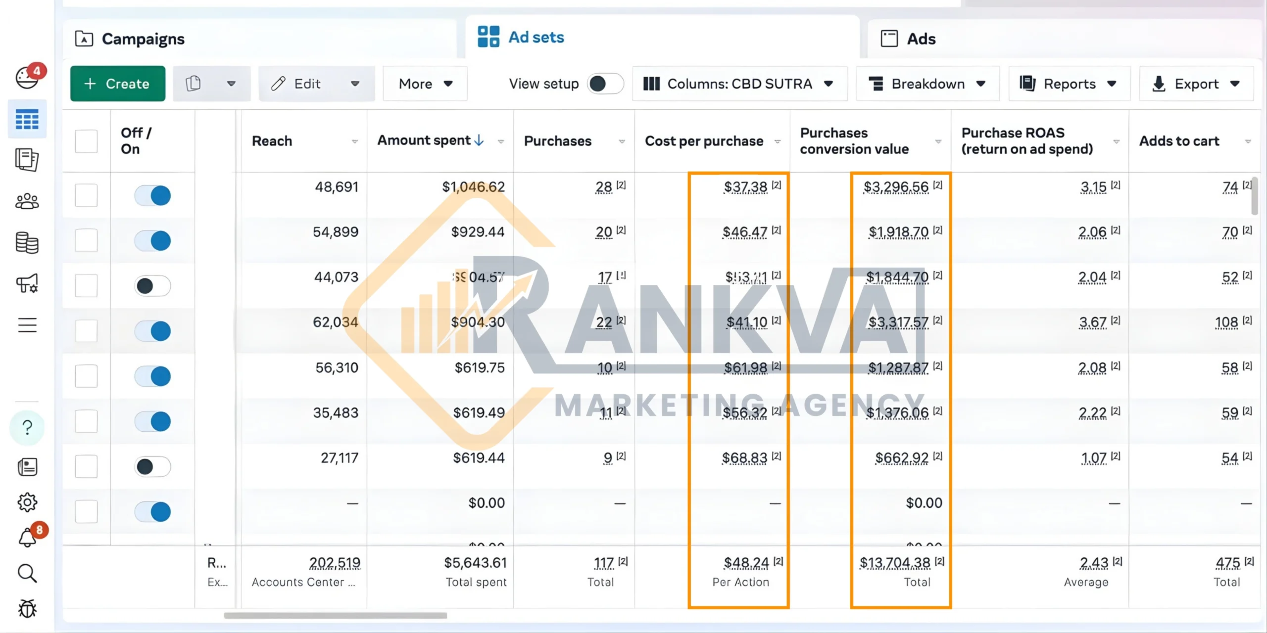Facebook & Instagram Ads Portfolio - Social Media Marketing Portfolio