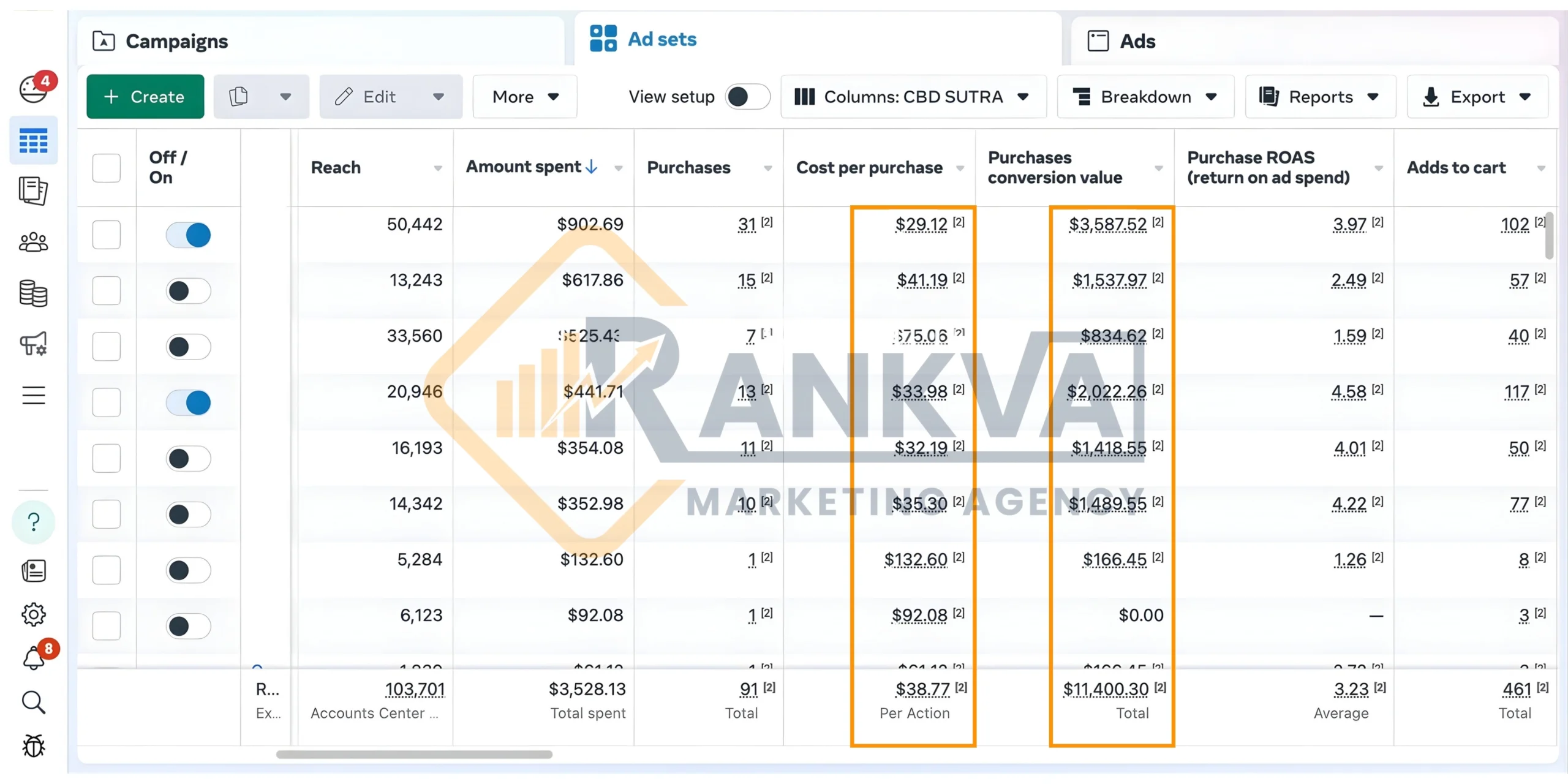 Facebook & Instagram Ads Portfolio - Social Media Marketing Portfolio